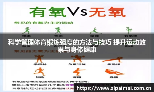 zoty中欧